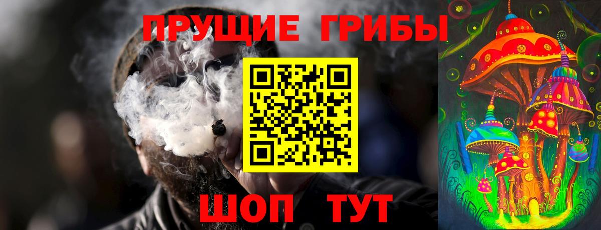 Псилоцибиновые грибы мицелий Фрязино