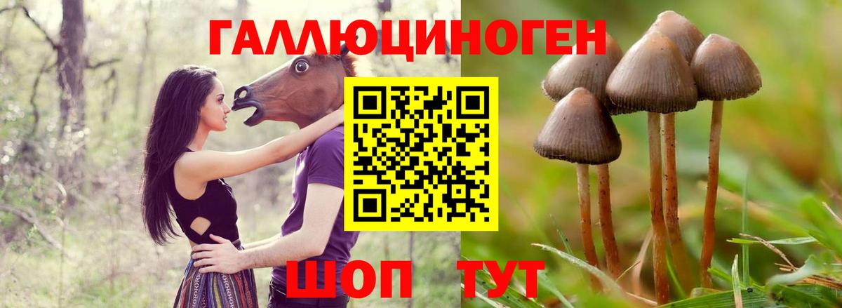 Фрязино  Галлюциногенные грибы Magic Shrooms  Вход с VPN 